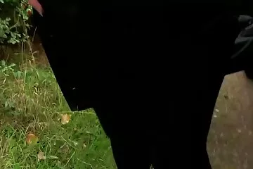 मेरी सौतेली माँ और सौतेली बहिन चाहता था और एक बड़ा लिंग के साथ एक युवा गधे को चूमा सेक्सी बीएफ फुल मूवी एचडी