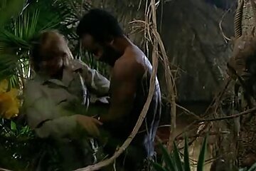 सुंदर गधा